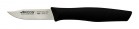 Нож для чистки овощей и фруктов Arcos Nova Paring Knife 188200 - БумерангШоп.РФ - Всё для торговли и общепита
